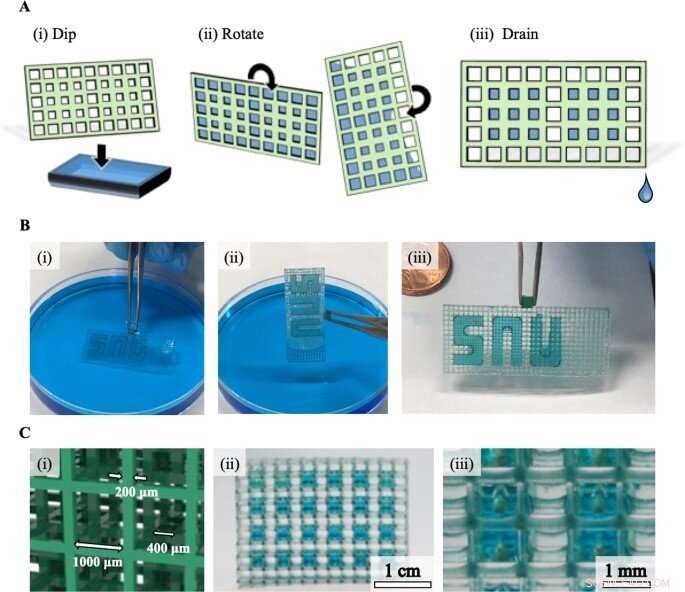 3D Micromesh Printing for Advanced Microtissue Engineering