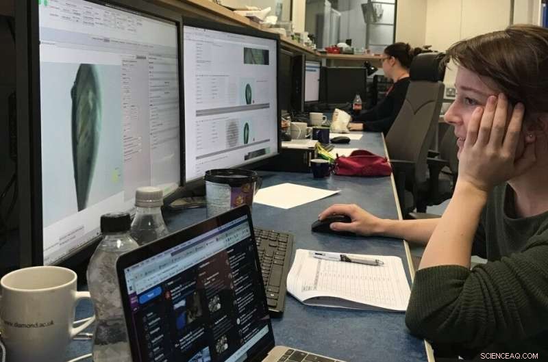 New Study Reveals Protective Armor of Superbug C. difficile, Offering Treatment Targets