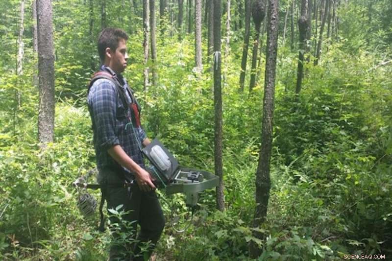 Deer Impact on Forest Canopies: A Laser-Based Long-Term Study