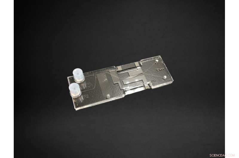 Microfluidic Chip Enables Rapid, Label-Free Cell Separation