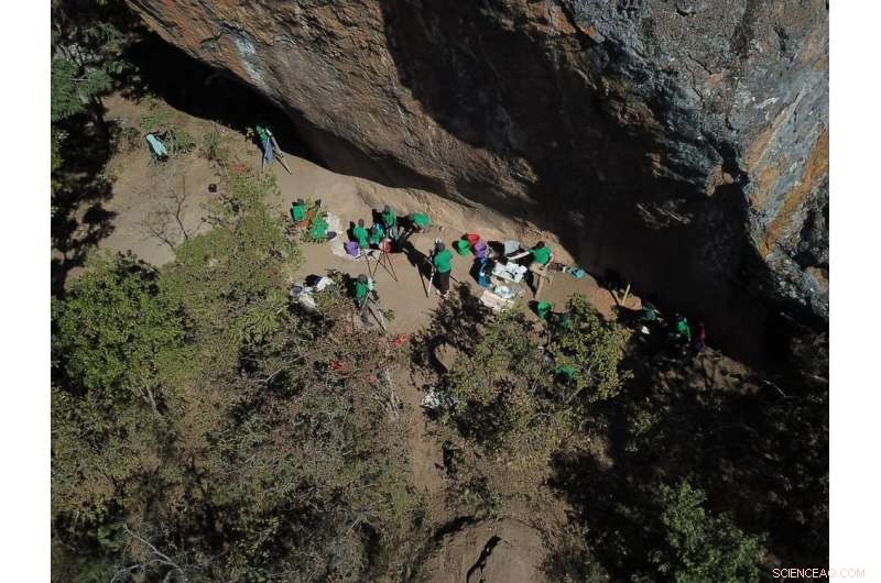 Ancient DNA Reveals 50,000-Year-Old Social Changes in Africa