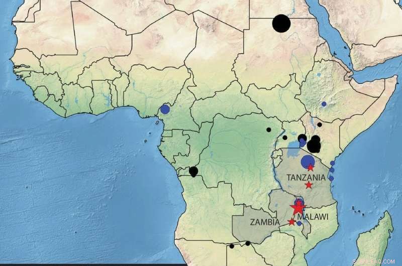 Ancient DNA Reveals 50,000-Year-Old Social Changes in Africa