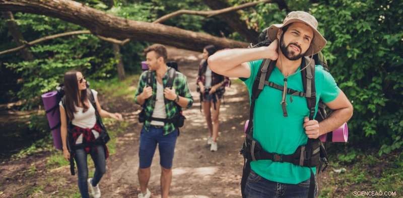 Do Mosquitoes Prefer Certain Colors? Understanding Attractiveness