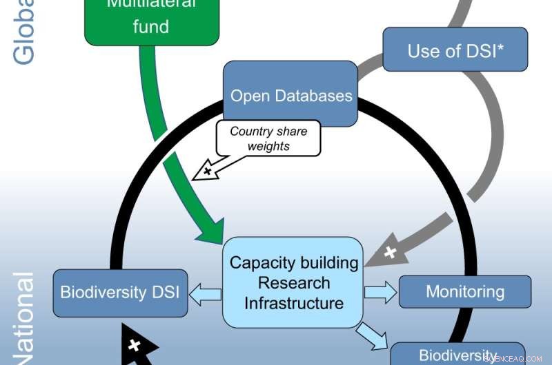Fair Genetic Data Sharing for Conservation: A Multilateral Funding Model