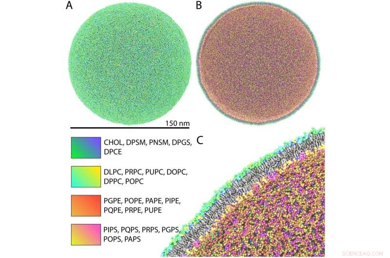 Advanced HIV-1 Virus Simulations Using Supercomputing