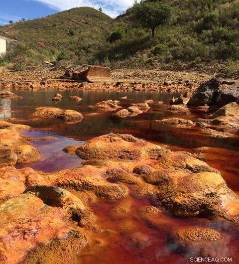 Rio Tinto Microbes: New Research Uncovers Secrets of Acidic River Ecosystem