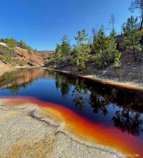 Rio Tinto Microbes: New Research Uncovers Secrets of Acidic River Ecosystem