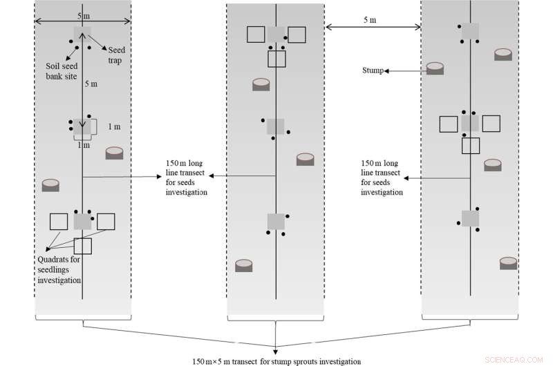 Seedling and Sprout Regeneration in Secondary Forests: Impact of Logging