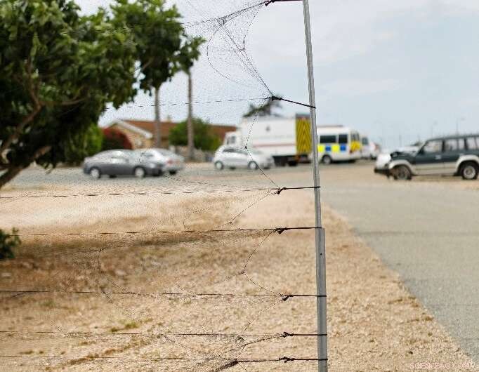 BirdLife Cyprus: Alarming Rise in Illegal Bird Killings & Relaxed Protections