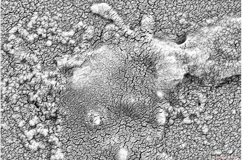 Breakthrough: Novel Approach to Combat Antibiotic-Resistant Bacteria