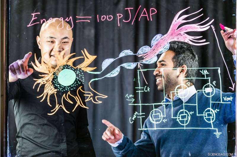 Researchers Create Functional Artificial Neuron with Organic Electronics