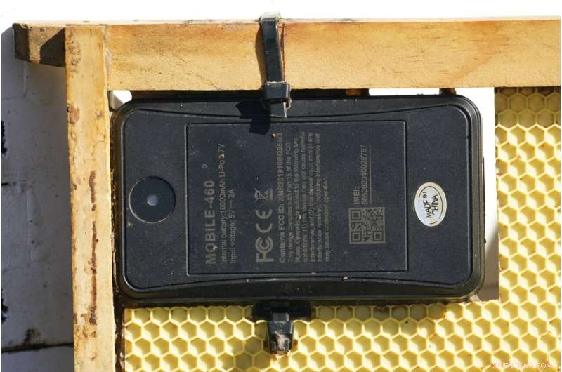 Protecting Beehives: How Tracking Tech Fights Theft
