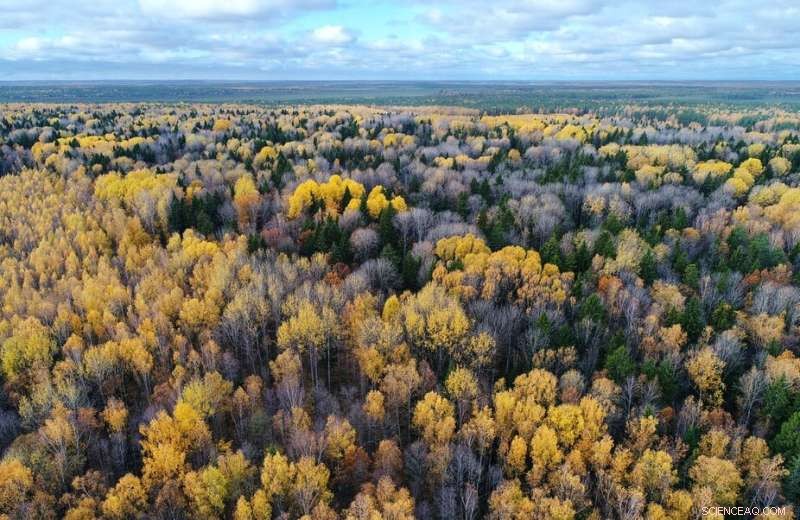 Transboundary Conservation: How Biosphere Reserves Achieve Nature Protection