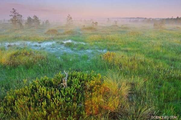 Transboundary Conservation: How Biosphere Reserves Achieve Nature Protection