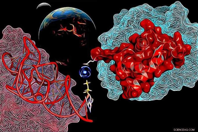 Evolution of Early Protein-RNA Interactions: A Novel Perspective