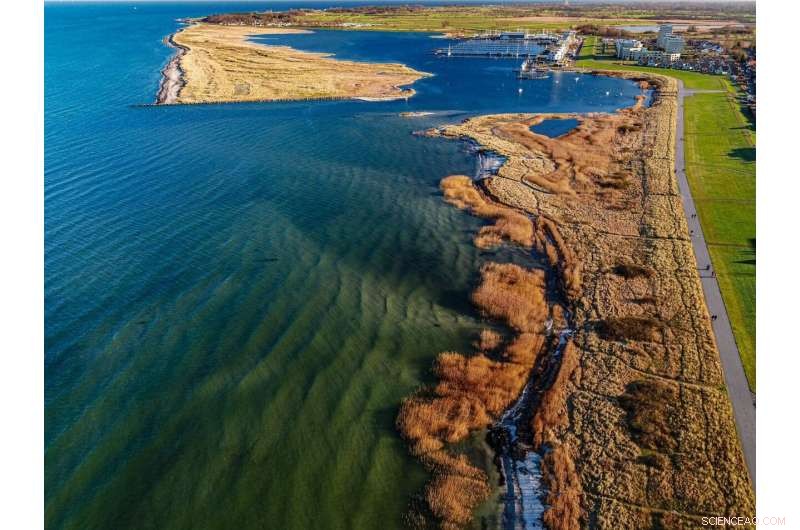 Sustainable Coastal Fisheries in the Baltic Sea: Balancing Ecology & Economy