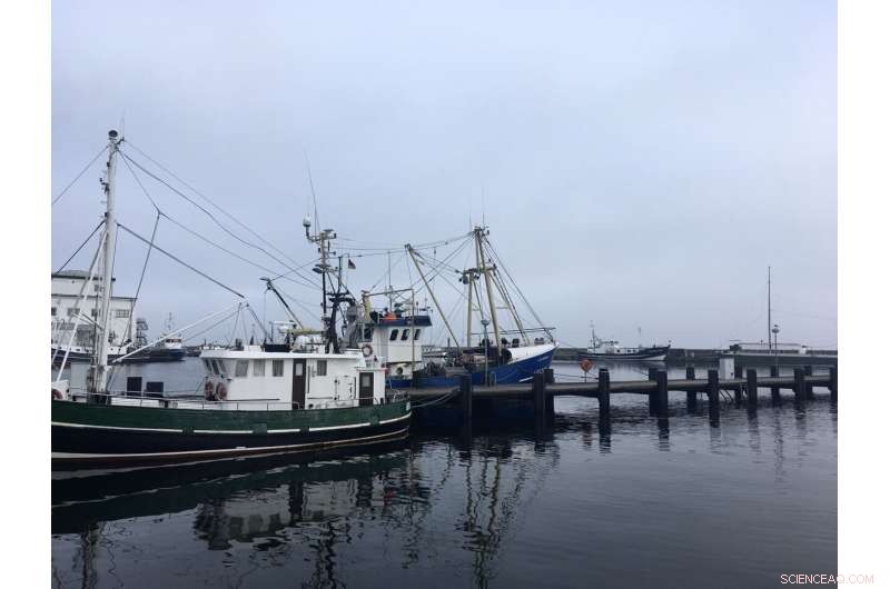 Sustainable Coastal Fisheries in the Baltic Sea: Balancing Ecology & Economy