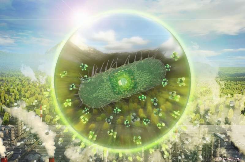 Bacteria Transform Carbon Waste into Valuable Chemicals: A Sustainable Solution