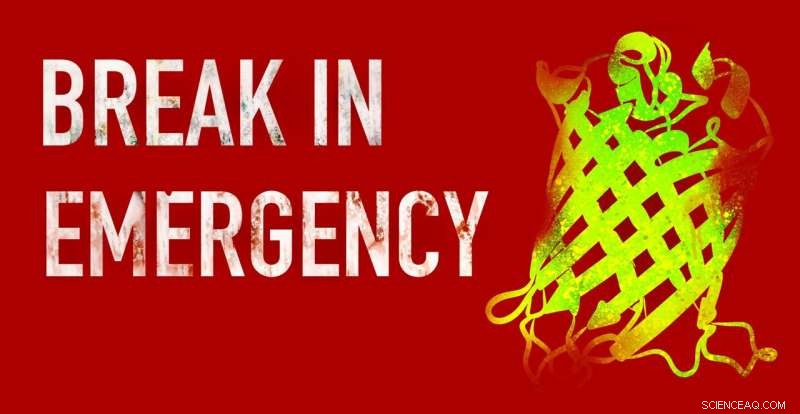 Engineering Bacteria for Enhanced Resilience to Nutrient Stress