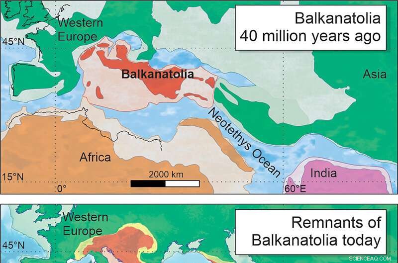 Balkanatolia: Uncovering a Lost Continent s Role in Mammalian Evolution