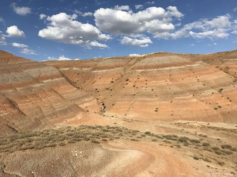 Balkanatolia: Uncovering a Lost Continent s Role in Mammalian Evolution