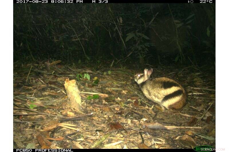 Camera Trap Surveys Reveal Insights on Threatened Annamite Endemics in Vietnam & Laos