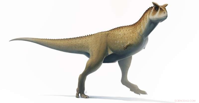 Guemesia ochoai: Newly Discovered Armless Dinosaur Species in Argentina