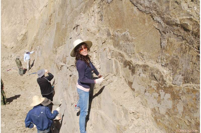 Ancient Fossil Birds Discovered Near China s Great Wall – New Insights into Avian Evolution