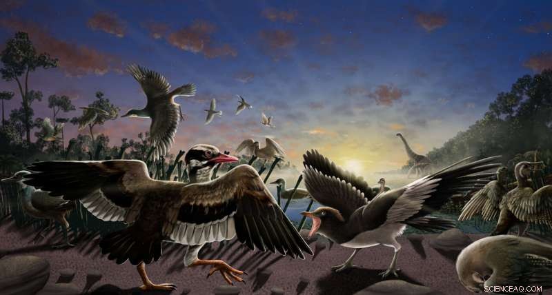 Ancient Fossil Birds Discovered Near China s Great Wall – New Insights into Avian Evolution