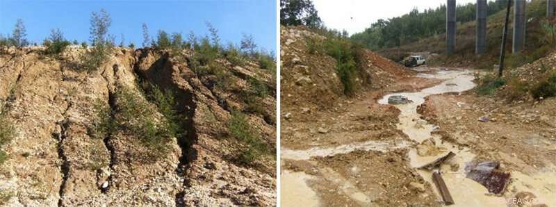 Mediterranean Soil Degradation: A Growing Threat to European Agriculture