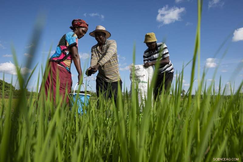 Safi Organics: Sustainable Organic Fertilizer for Kenyan Farmers