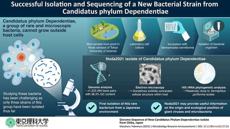 Novel Bacterial Strain Sequencing Reveals Insights from Metagenomics