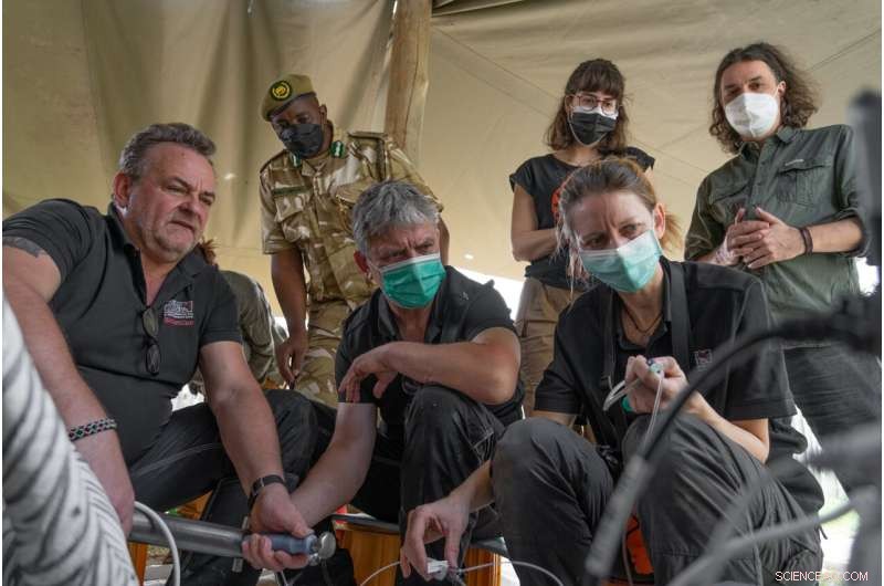 Northern White Rhino Conservation: 2 New Embryos Created by BioRescue