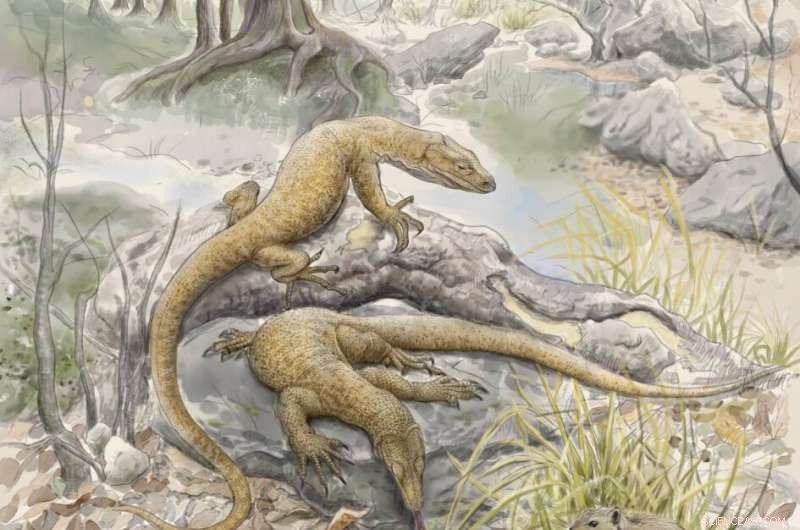 New Fossil Evidence Confirms Asian Origin of Monitor Lizards