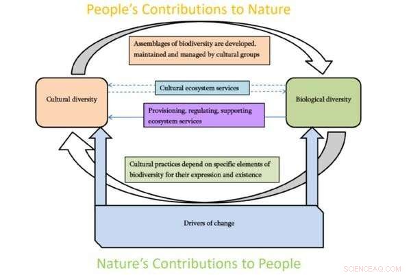 Understanding Biocultural Diversity: Importance & Examples