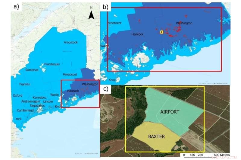 Wild Blueberry Growth: The Critical Role of Soil Moisture - Maine Study