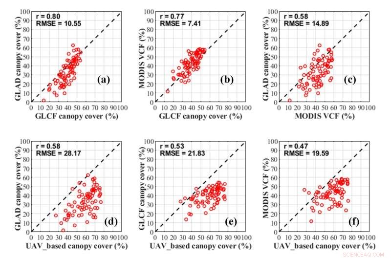 New Algorithm Reveals Forest Canopy Cover is Significantly Higher Than Estimated