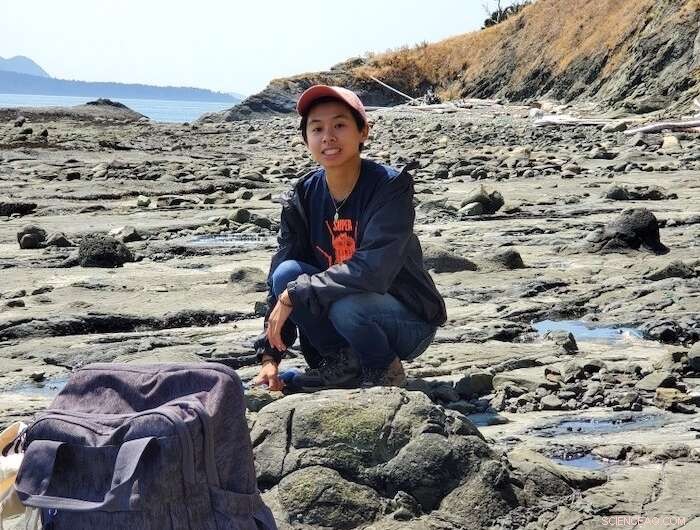 Ancient Plant Fossils in Washington Reveal New Insights into Cretaceous Plant Dispersal