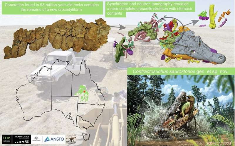 Nuclear Imaging Reveals Crocodile Consumed Baby Dinosaur 93 Million Years Ago