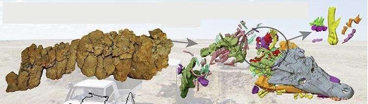 Nuclear Imaging Reveals Crocodile Consumed Baby Dinosaur 93 Million Years Ago