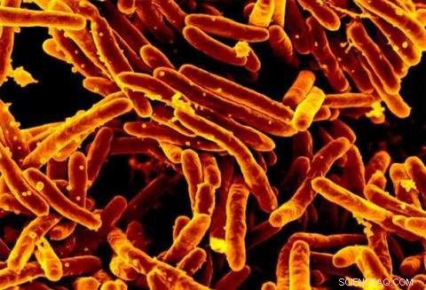 Understanding and Predicting Tuberculosis Drug Resistance