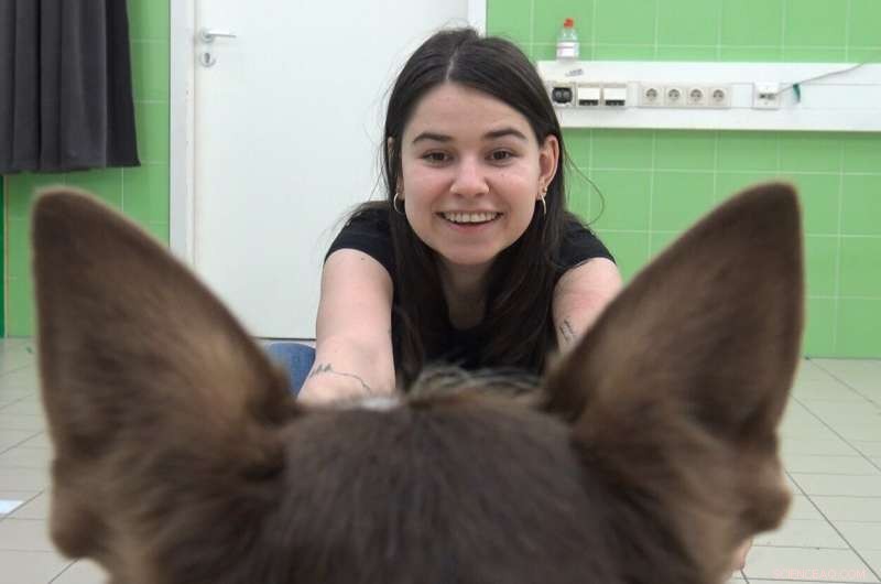 Study: Dogs Can Identify Owners by Voice – New Research Reveals