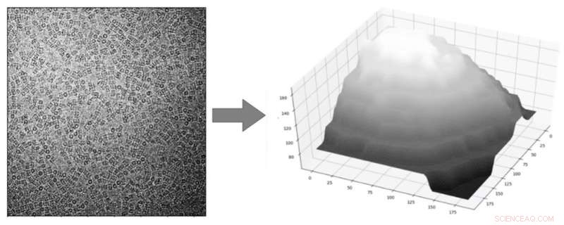 Cryo-EM Ice Contamination: Challenges and Solutions