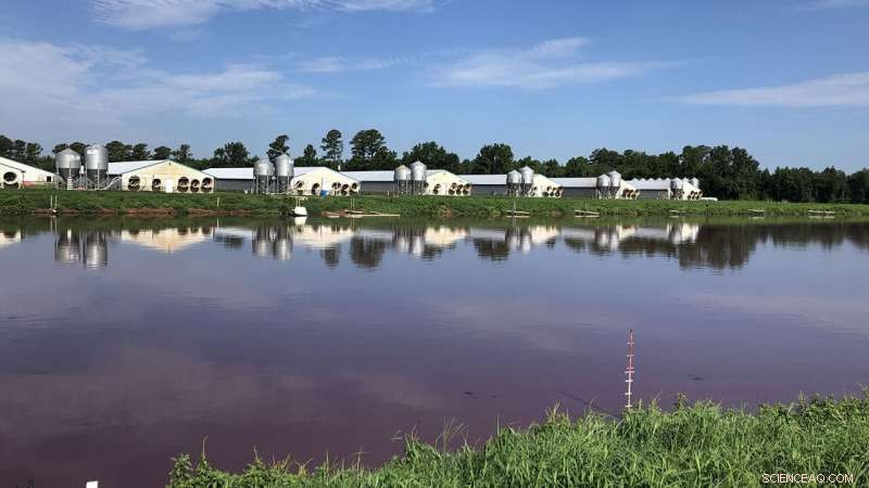 Satellite Imagery Reveals Construction Timelines of Swine Waste Lagoons