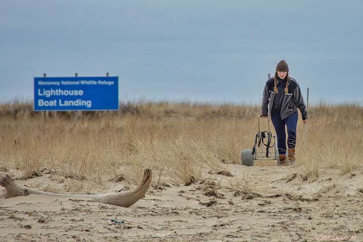 Understanding Porcine Reproductive and Respiratory Syndrome Virus (PRRSV) Evolution