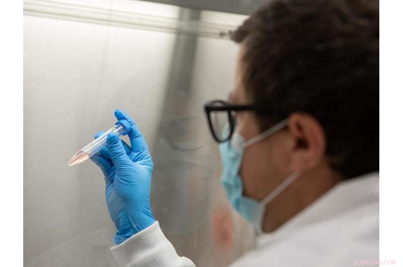 Revolutionizing Research: Compact Gene Libraries for Enhanced Accessibility