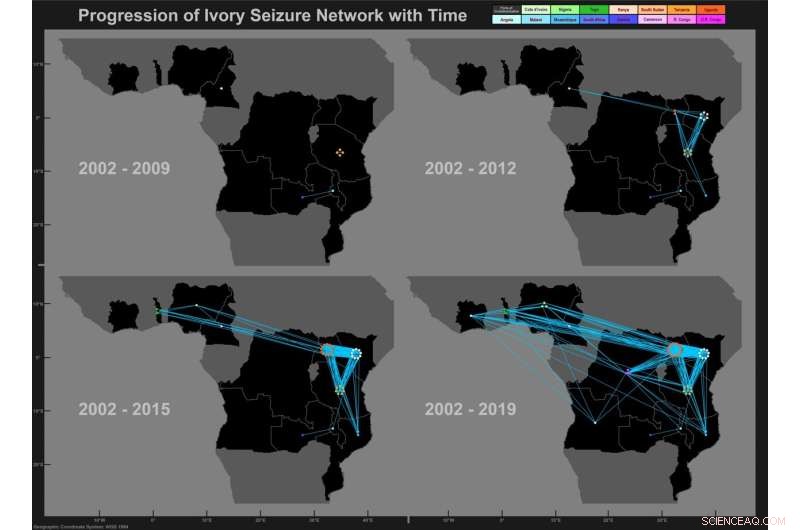 Tracking Illegal Ivory Trafficking: DNA Analysis Reveals Smuggling Routes