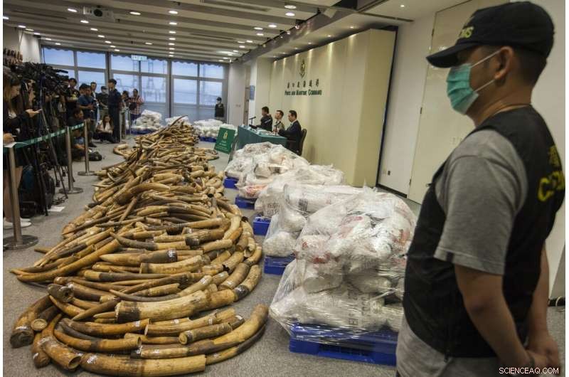 Tracking Illegal Ivory Trafficking: DNA Analysis Reveals Smuggling Routes