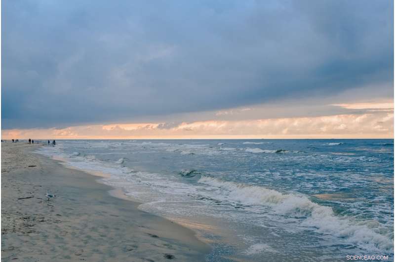 Baltic Sea Recovery Hindered by Altered Sediment Chemistry – University of Gothenburg Study