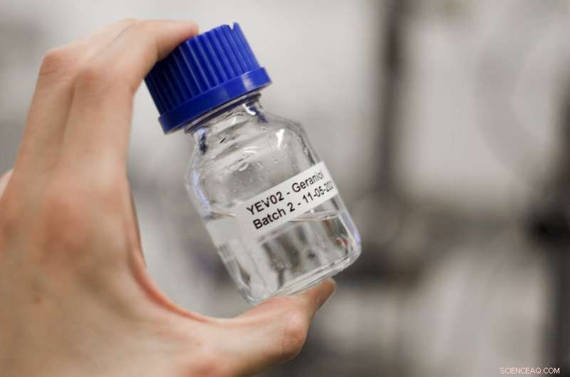 Non-Alcoholic Beer Innovation: Scientists Replicate Traditional Beer Flavor